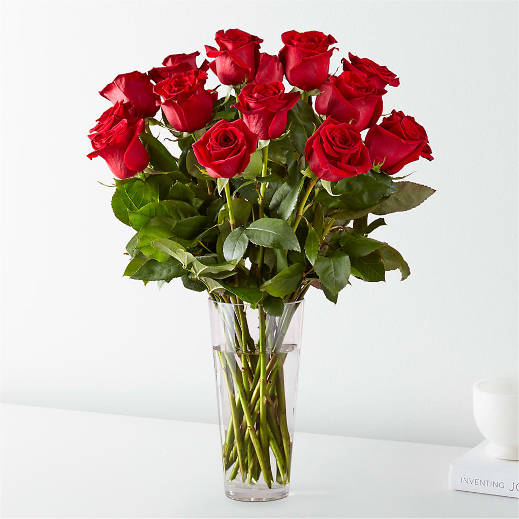 Long Stem Red Rose Bouquet – MOSS & CO, Watkinsville GA