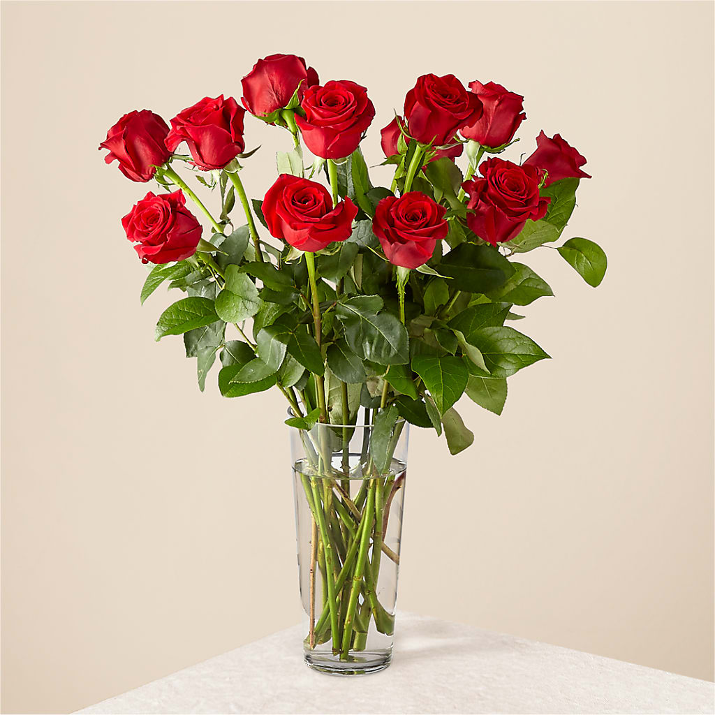 Long Stem Red Rose Bouquet – MOSS & CO, Watkinsville GA