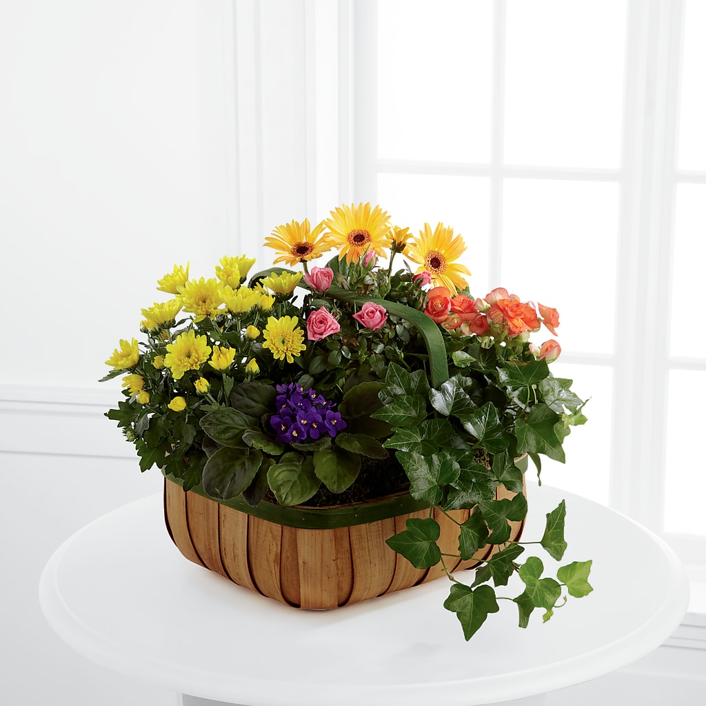 Gentle Blossoms Basket – MOSS & CO, Watkinsville GA