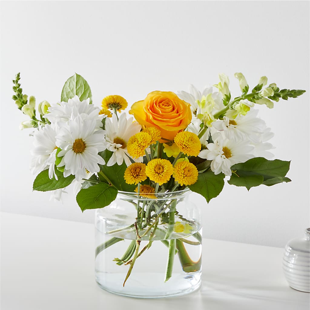 Sun Salutation Bouquet – MOSS & CO, Watkinsville GA