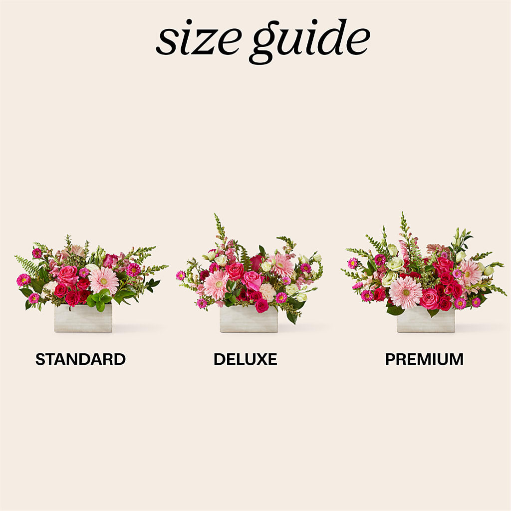 Too Cute Bouquet – MOSS & CO, Watkinsville GA