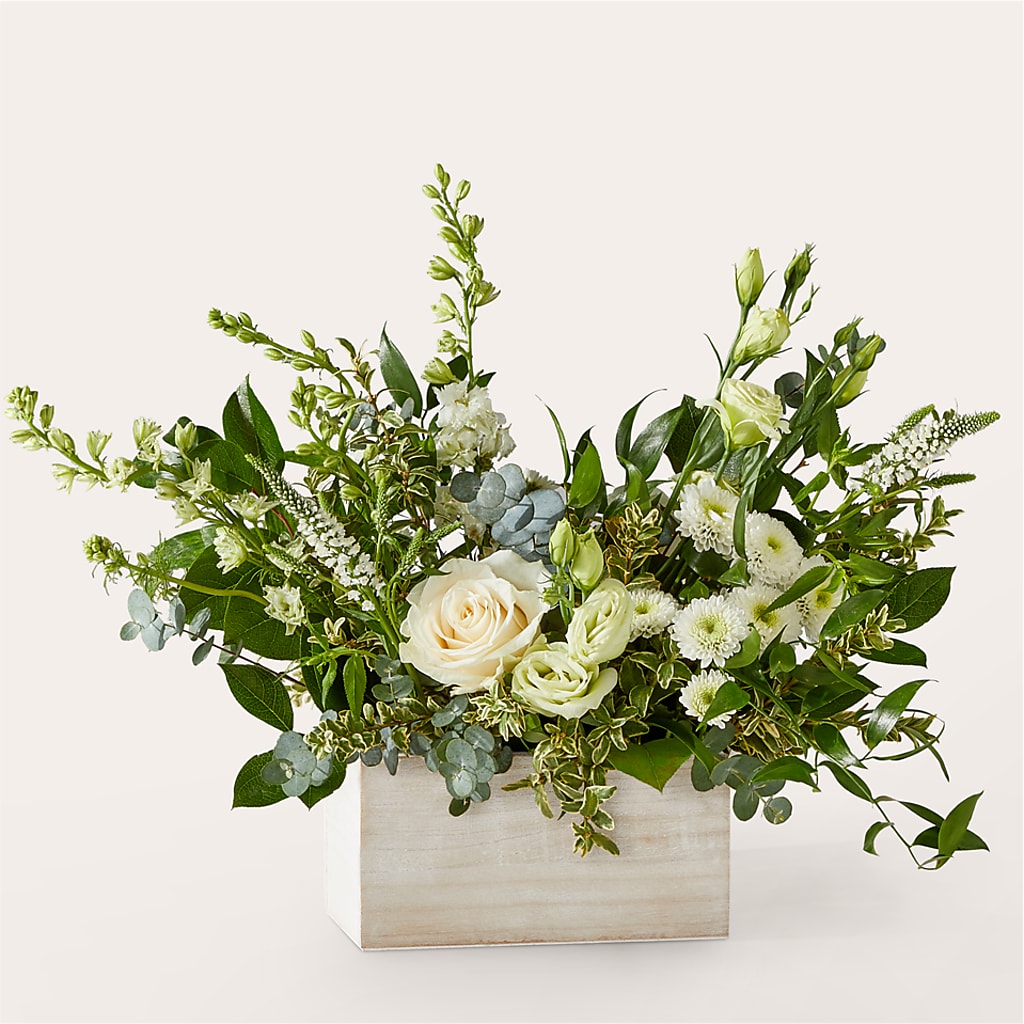 Cashmere Bouquet – MOSS & CO, Watkinsville GA