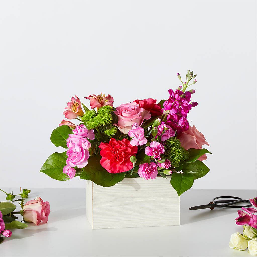 Sweetberry Box – A Florist Original – MOSS & CO, Watkinsville GA