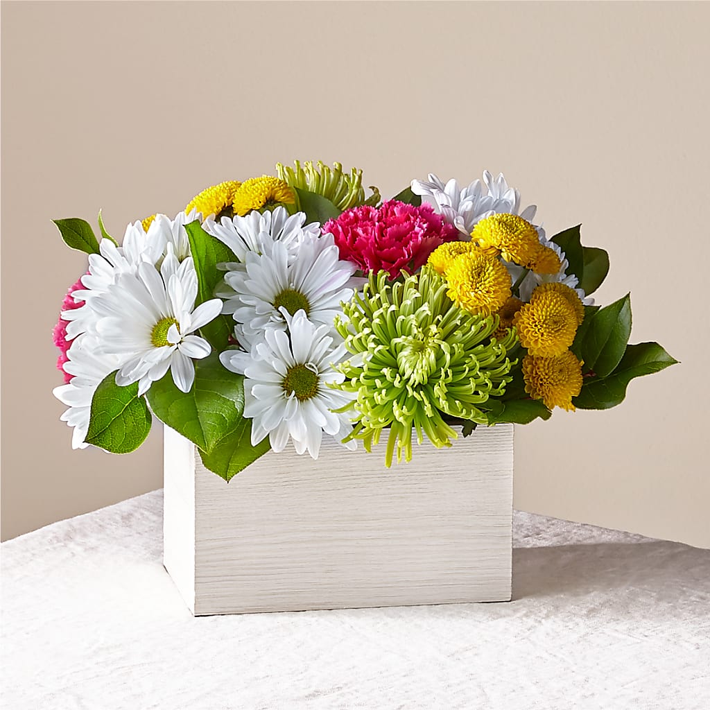 Sorbet Bouquet – MOSS & CO, Watkinsville GA