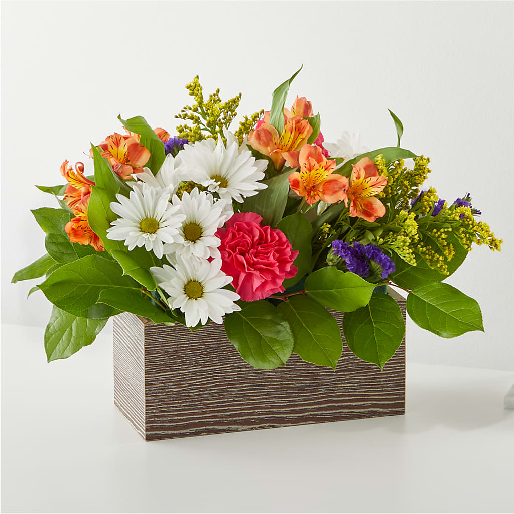 Oopsie Daisy Box Bouquet – MOSS & CO, Watkinsville GA