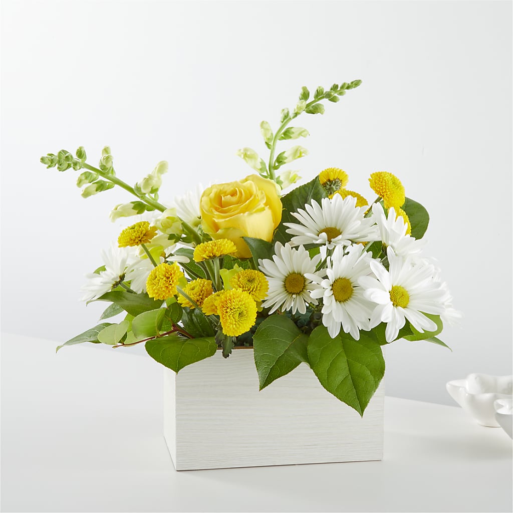 Sun Salutation Box Bouquet – MOSS & CO, Watkinsville GA