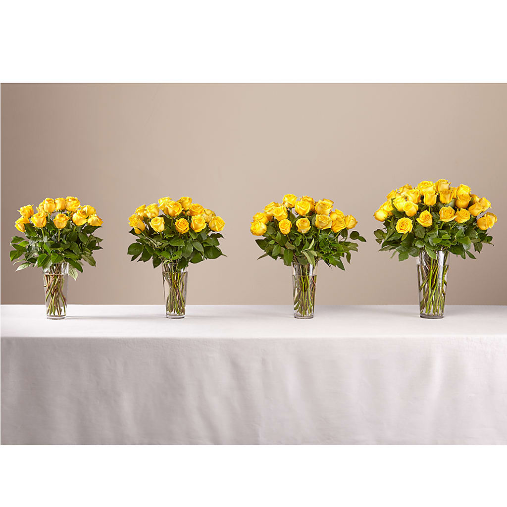 Long Stem Yellow Rose Bouquet – MOSS & CO, Watkinsville GA