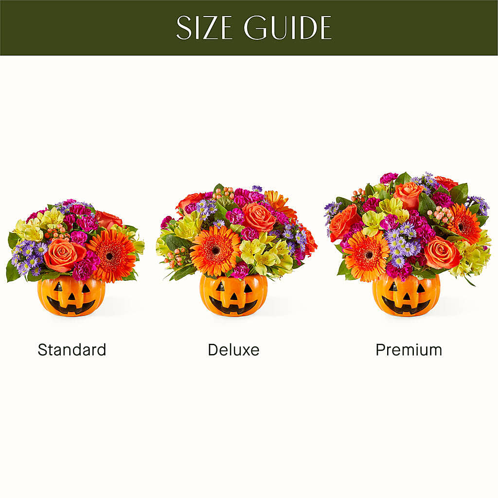 Tricks & Treats Pumpkin – MOSS & CO, Watkinsville GA