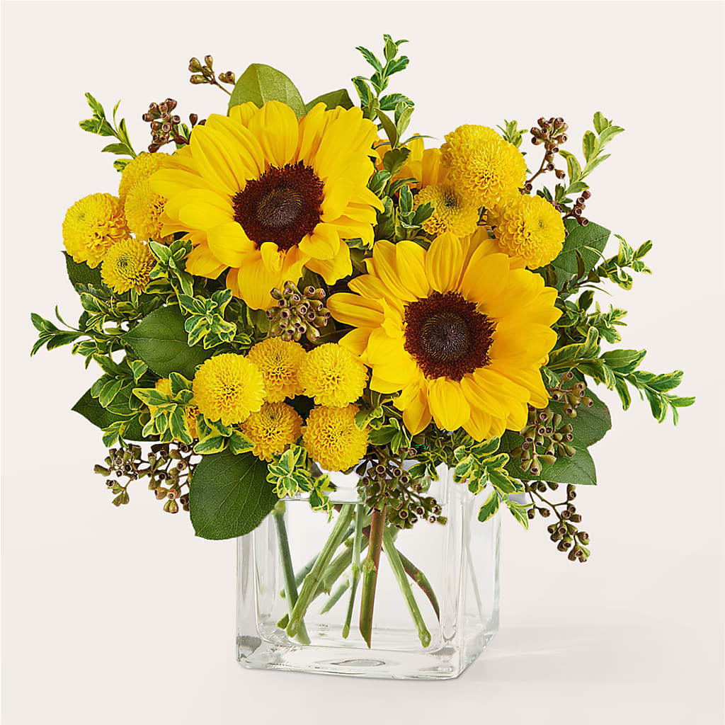 Luminous Morning Bouquet – MOSS & CO, Watkinsville GA