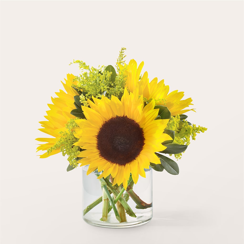 Beaming Sunflower Bouquet – MOSS & CO, Watkinsville GA