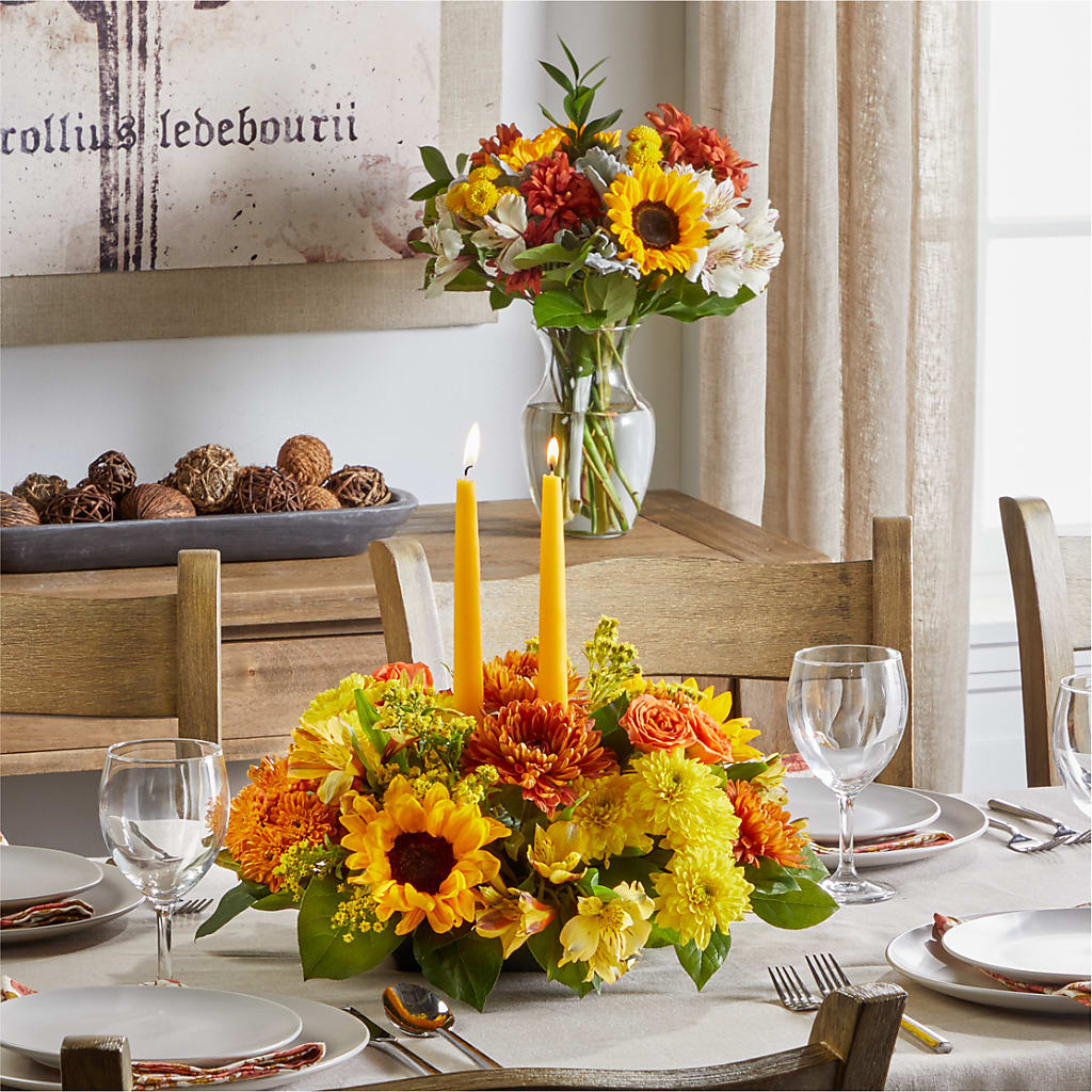Golden Gathering Bundle – MOSS & CO, Watkinsville GA