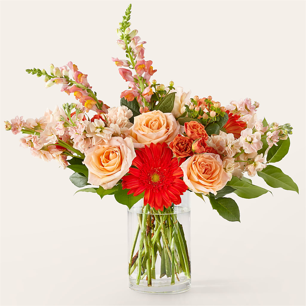 Paloma Please Bouquet – MOSS & CO, Watkinsville GA