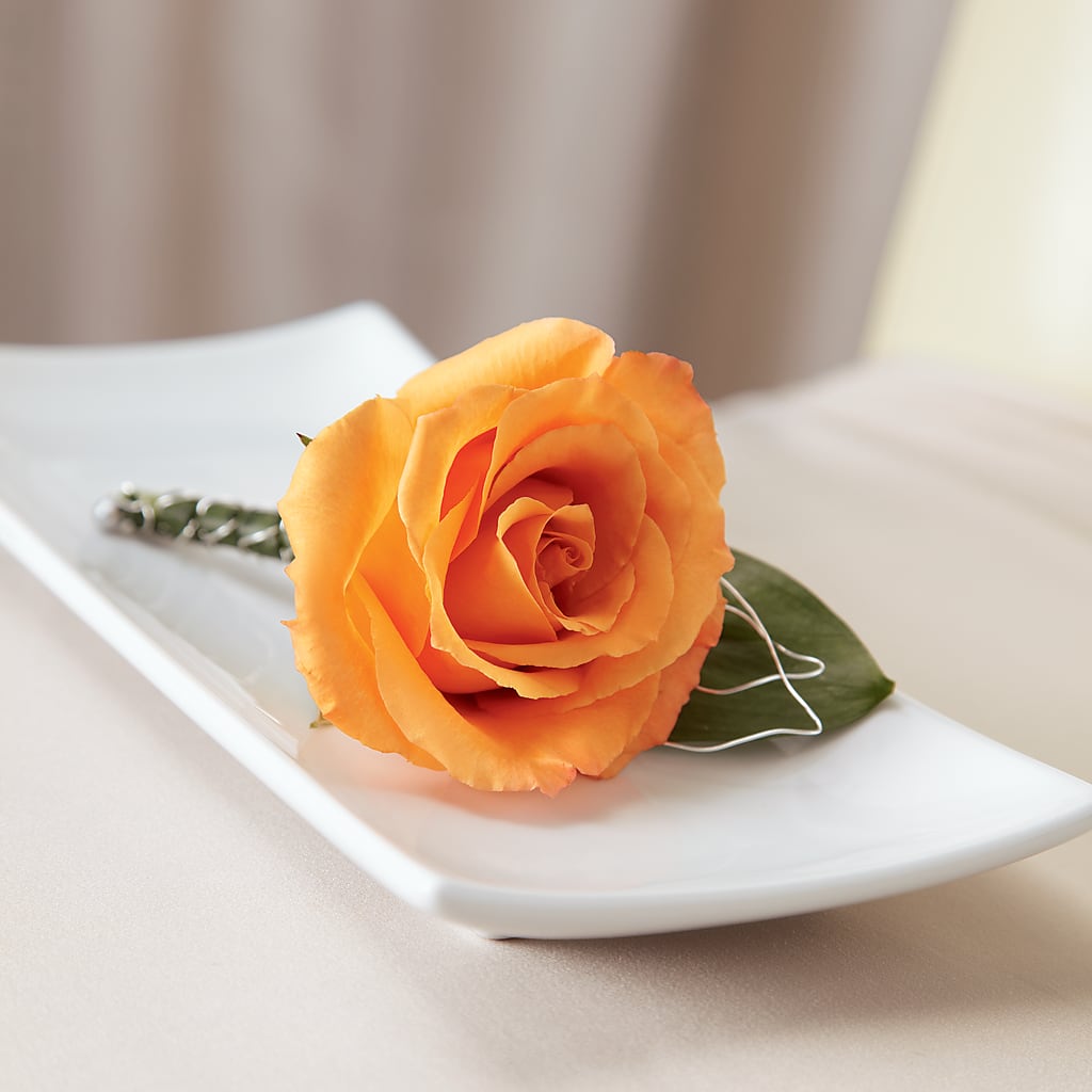 Lifetime of Love Boutonniere – MOSS & CO, Watkinsville GA