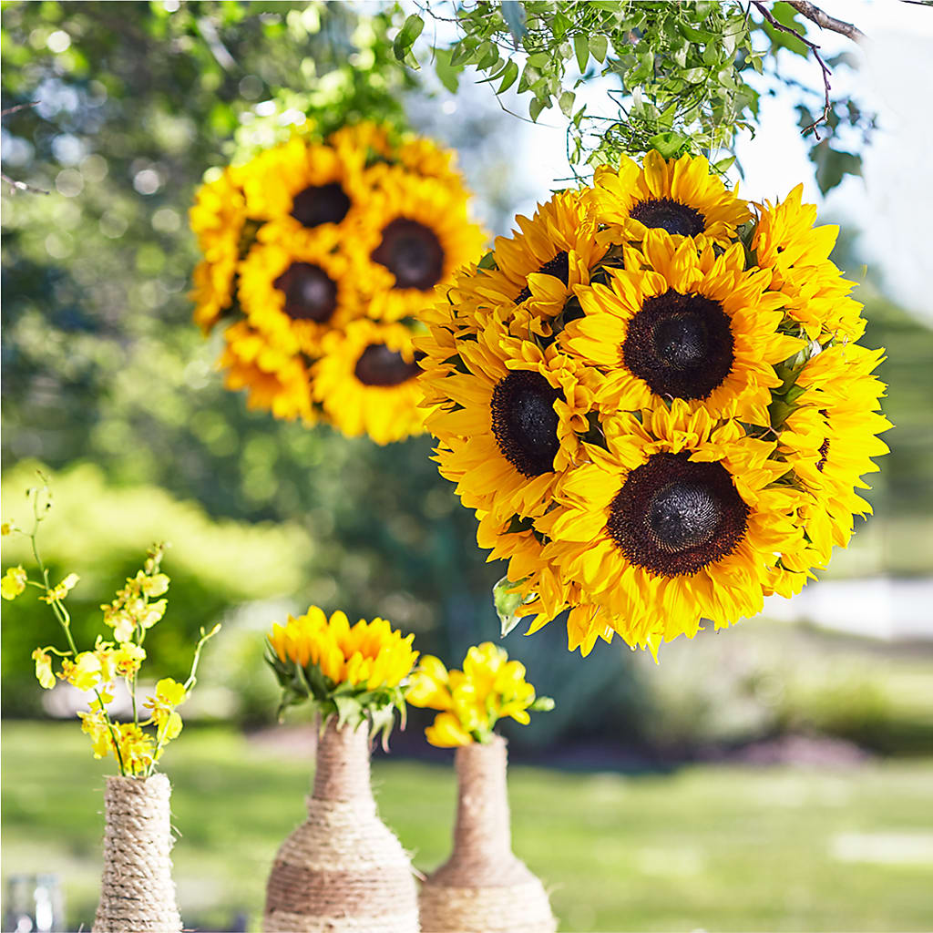Sublime Garden Hanging Arrangement – MOSS & CO, Watkinsville GA