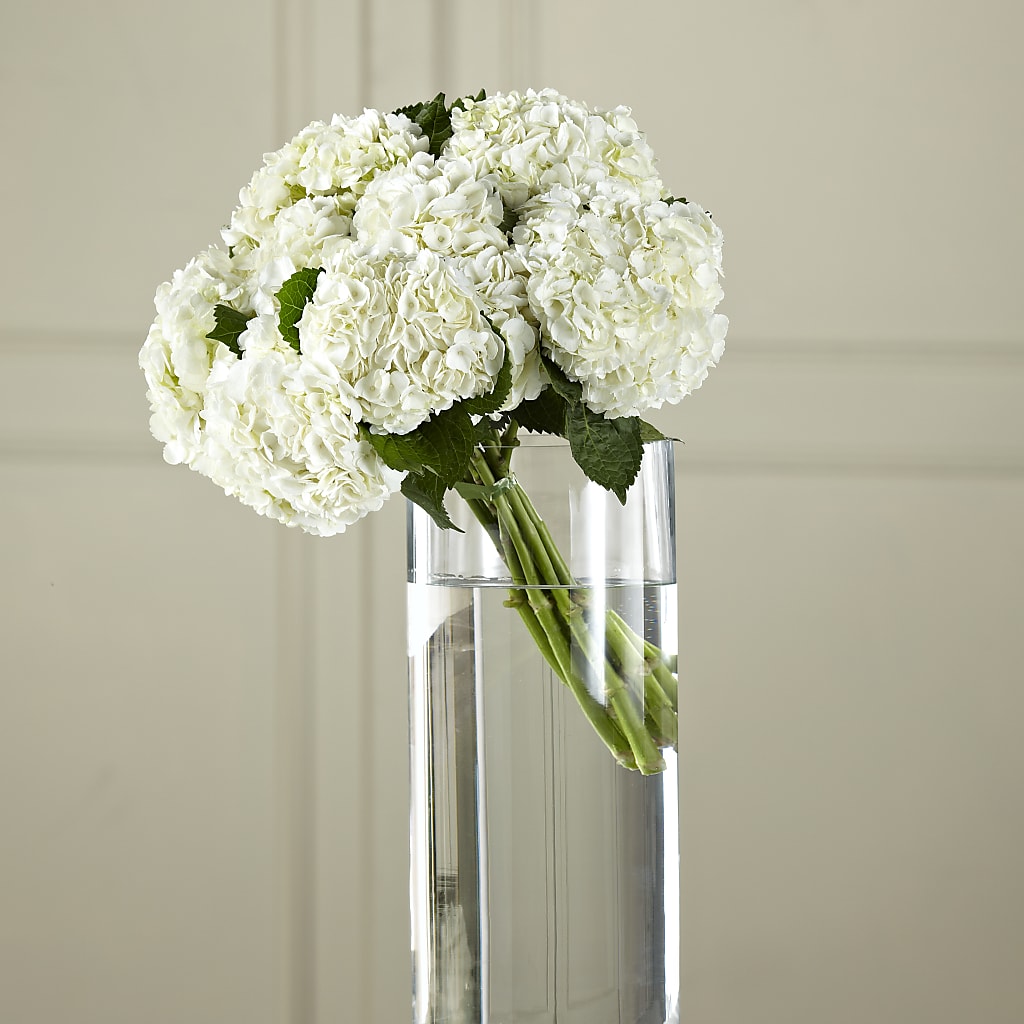 White Hydrangea Hand-Tied Bouquet – MOSS & CO, Watkinsville GA