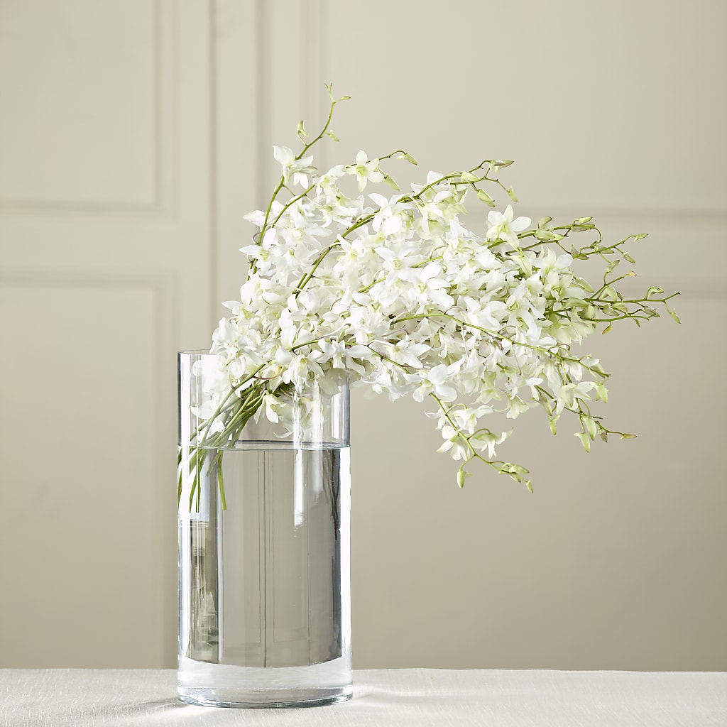 White Dendrobium Bouquet – MOSS & CO, Watkinsville GA