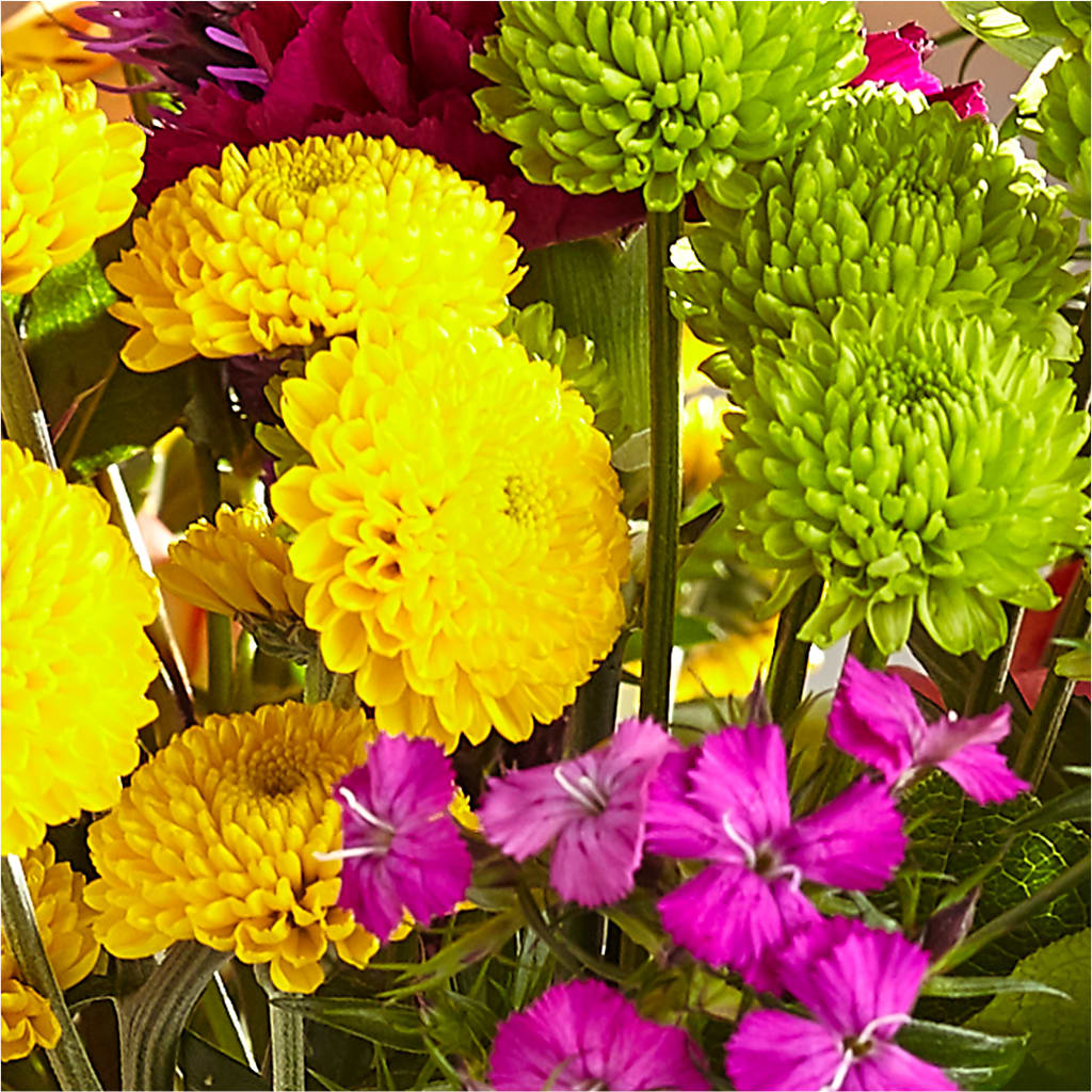 Bold & Bright – A Florist Original – MOSS & CO, Watkinsville GA
