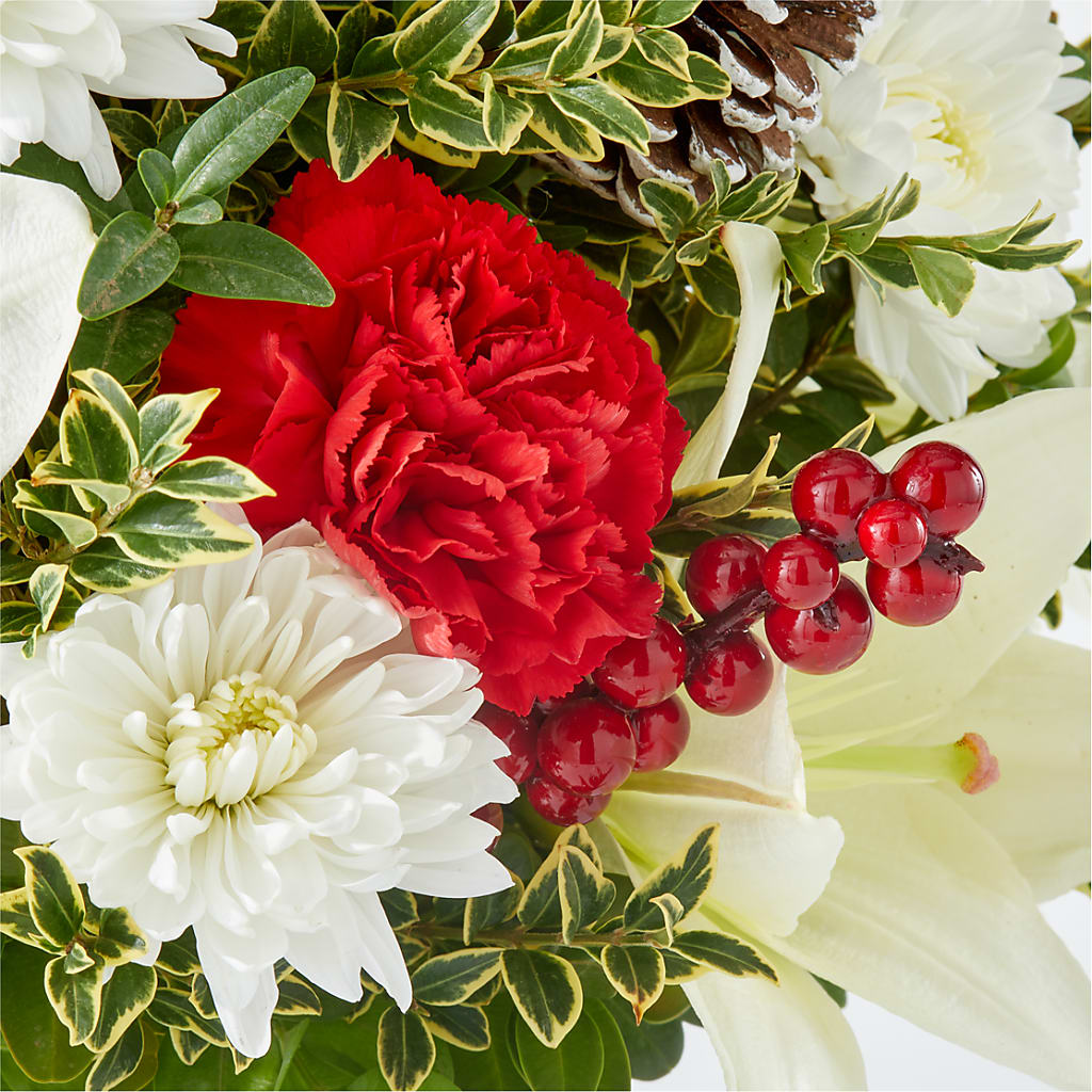 Festive Moments Tree – MOSS & CO, Watkinsville GA