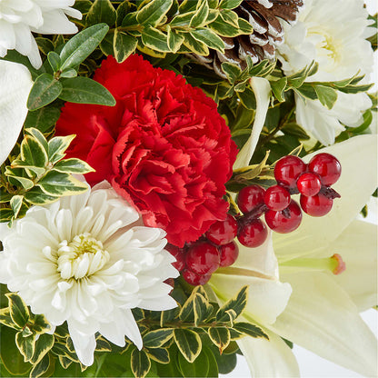 Festive Moments Tree – MOSS & CO, Watkinsville GA