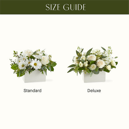 Fresh Linen Box Bouquet – MOSS & CO, Watkinsville GA