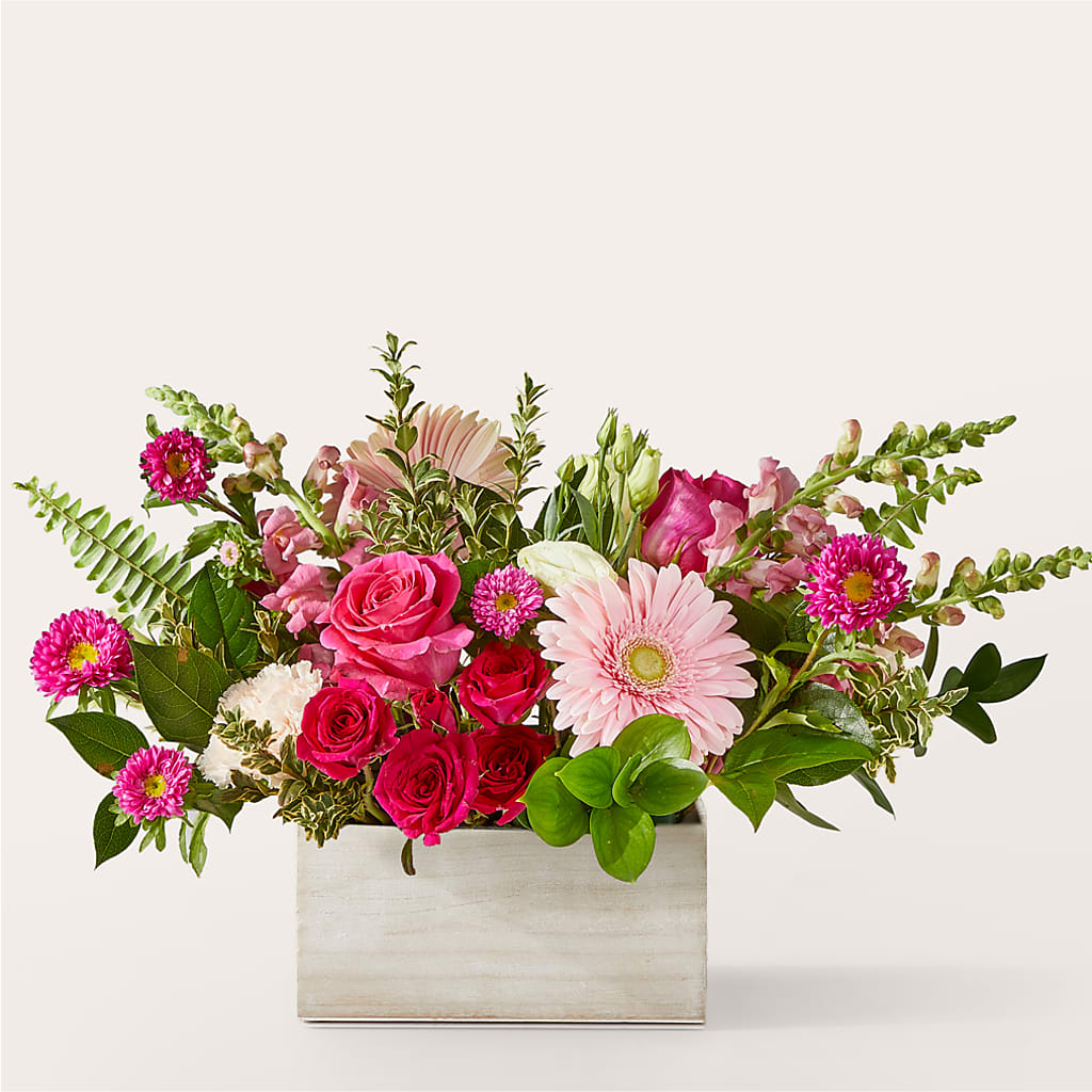 Too Cute Bouquet – MOSS & CO, Watkinsville GA