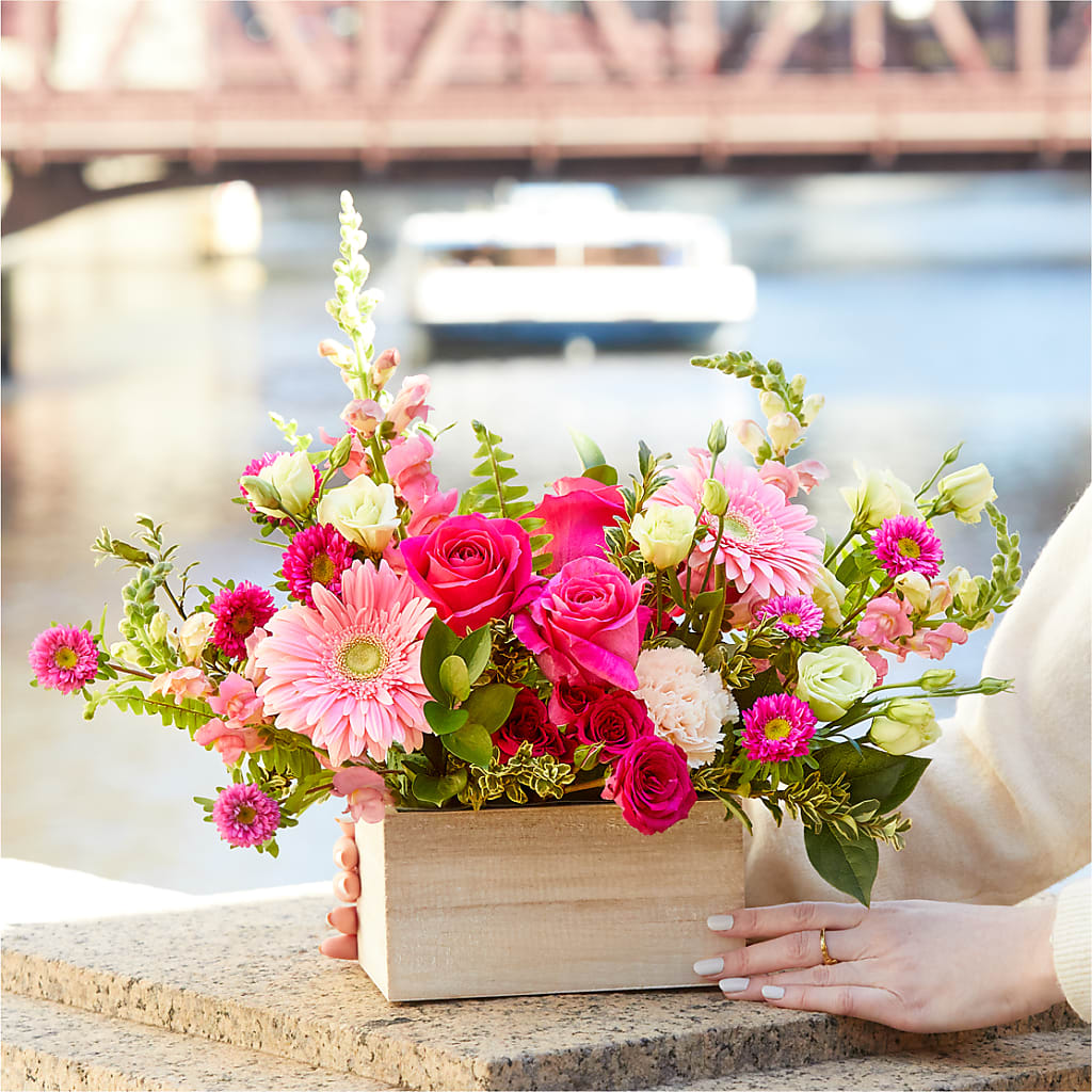 Too Cute Bouquet – MOSS & CO, Watkinsville GA