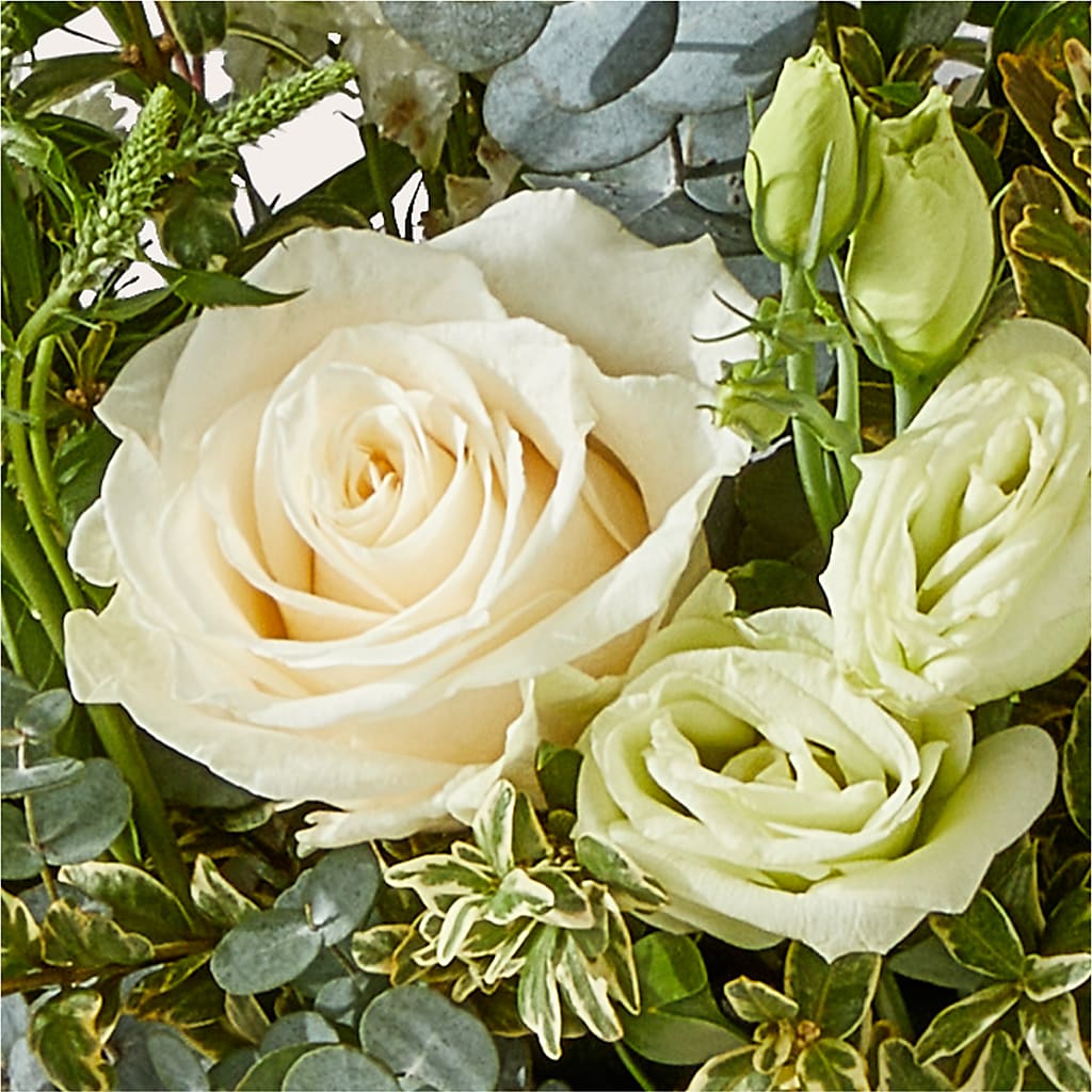 Cashmere Bouquet – MOSS & CO, Watkinsville GA