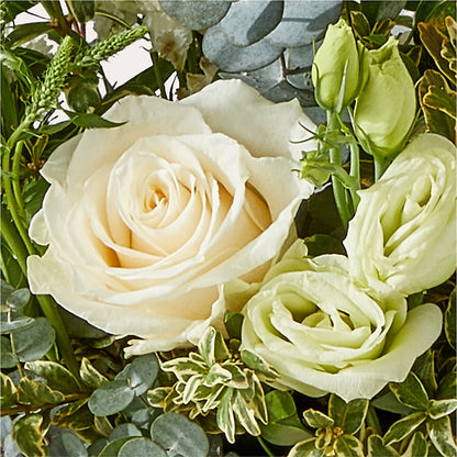 Cashmere Bouquet – MOSS & CO, Watkinsville GA