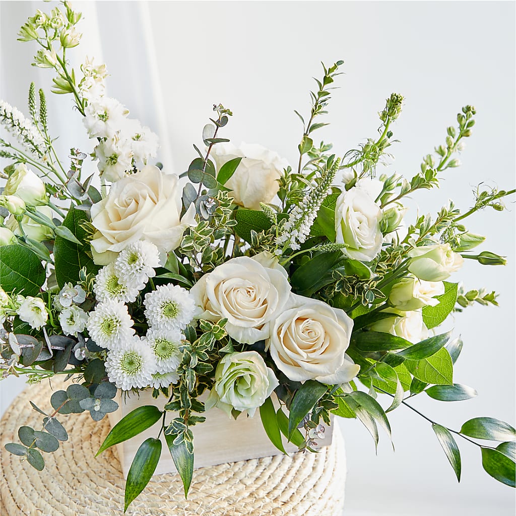 Cashmere Bouquet – MOSS & CO, Watkinsville GA