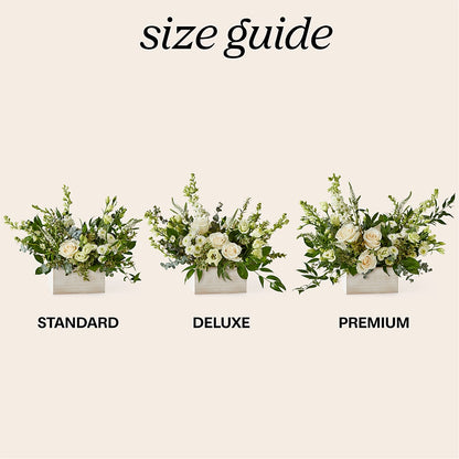 Cashmere Bouquet – MOSS & CO, Watkinsville GA