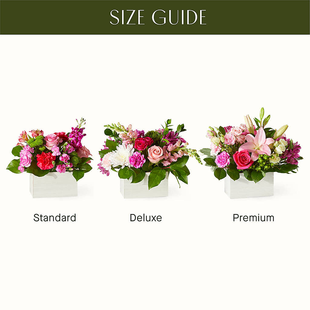 Sweetberry Box – A Florist Original – MOSS & CO, Watkinsville GA