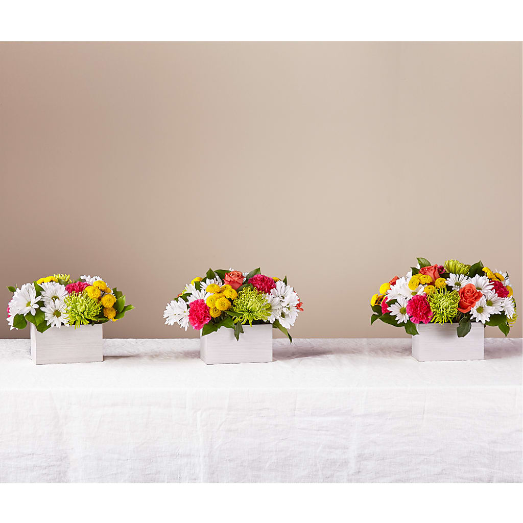 Sorbet Bouquet – MOSS & CO, Watkinsville GA