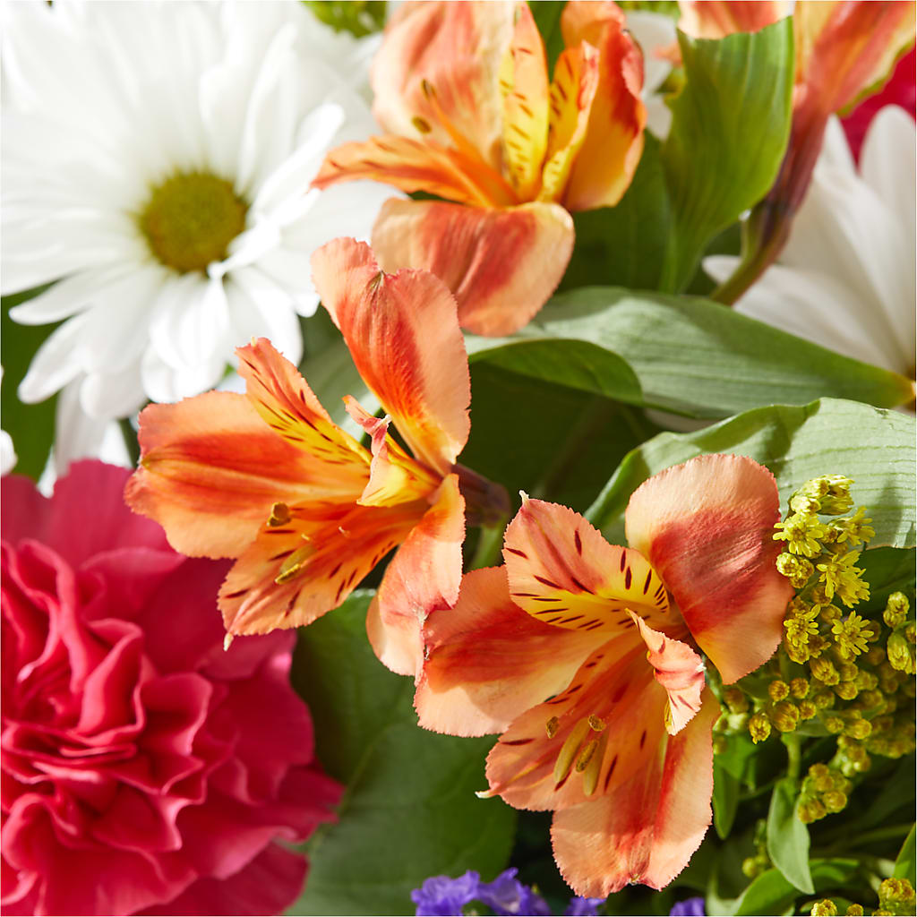 Oopsie Daisy Box Bouquet – MOSS & CO, Watkinsville GA