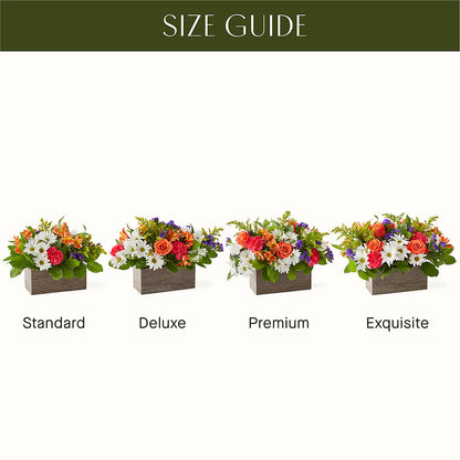 Oopsie Daisy Box Bouquet – MOSS & CO, Watkinsville GA