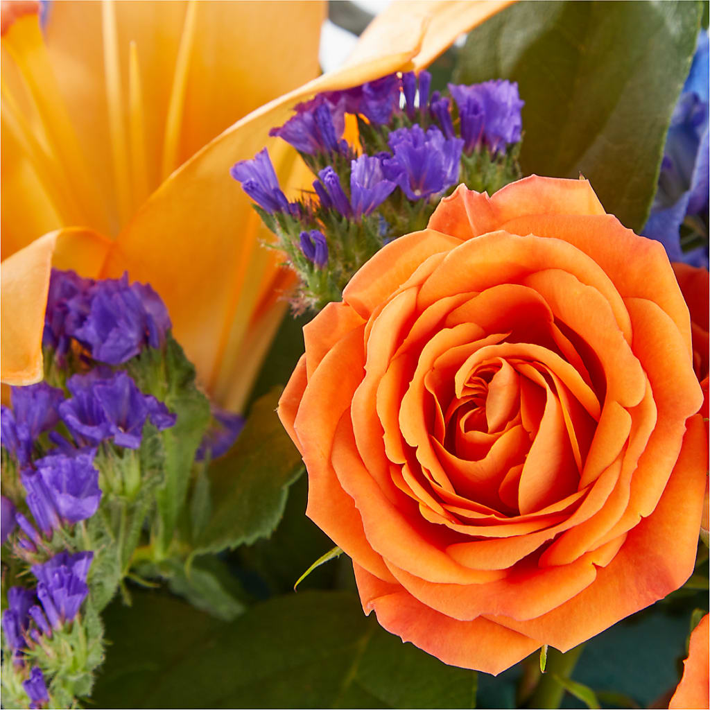 Radiant Citrus Box Bouquet – MOSS & CO, Watkinsville GA