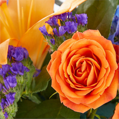 Radiant Citrus Box Bouquet – MOSS & CO, Watkinsville GA