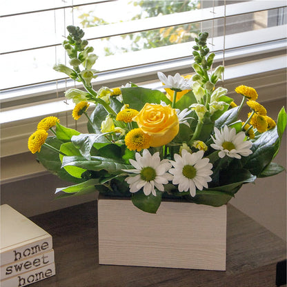 Sun Salutation Box Bouquet – MOSS & CO, Watkinsville GA