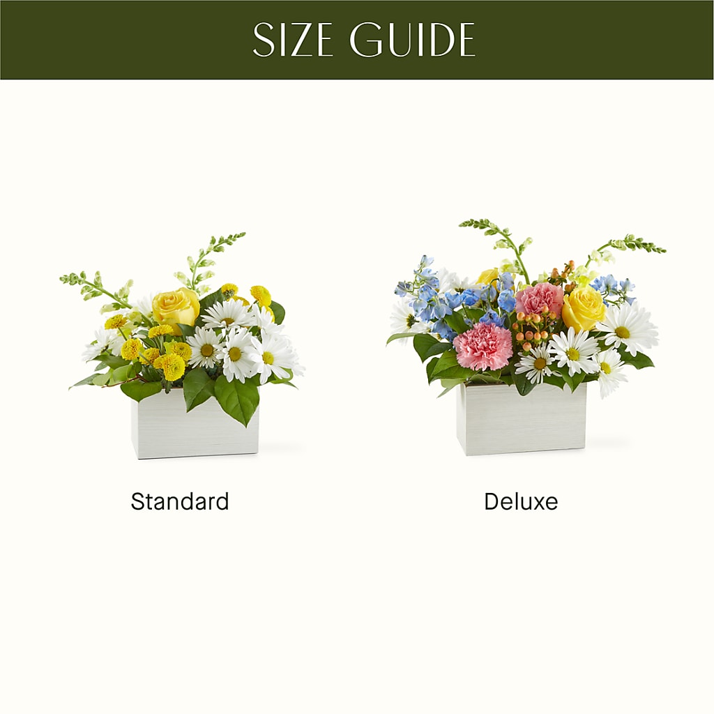 Sun Salutation Box Bouquet – MOSS & CO, Watkinsville GA