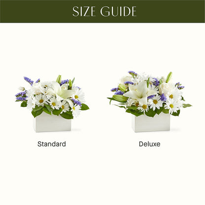 Beyond Blue Box Bouquet – MOSS & CO, Watkinsville GA