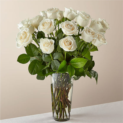 Long Stem White Rose Bouquet – MOSS & CO, Watkinsville GA