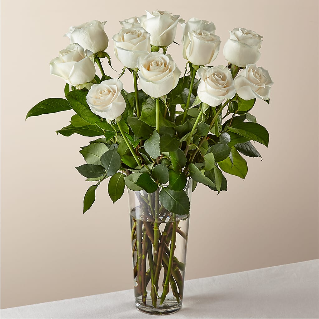 Long Stem White Rose Bouquet – MOSS & CO, Watkinsville GA