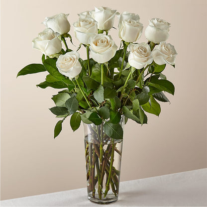 Long Stem White Rose Bouquet – MOSS & CO, Watkinsville GA