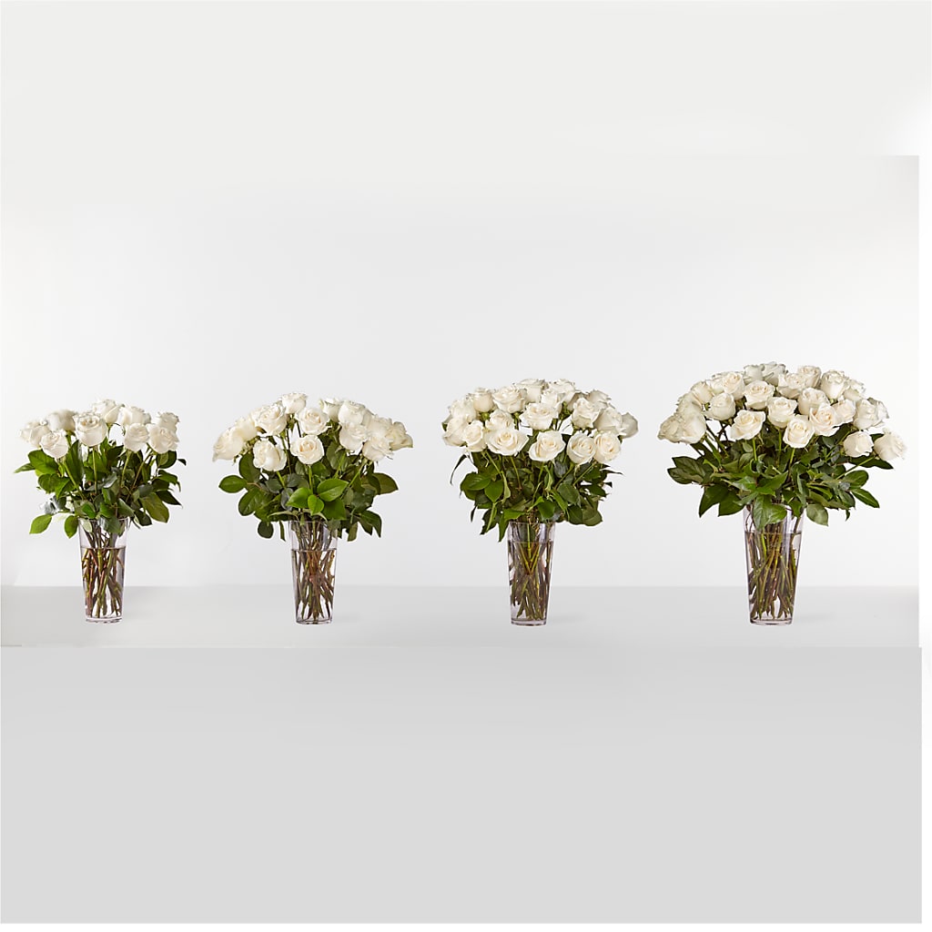 Long Stem White Rose Bouquet – MOSS & CO, Watkinsville GA