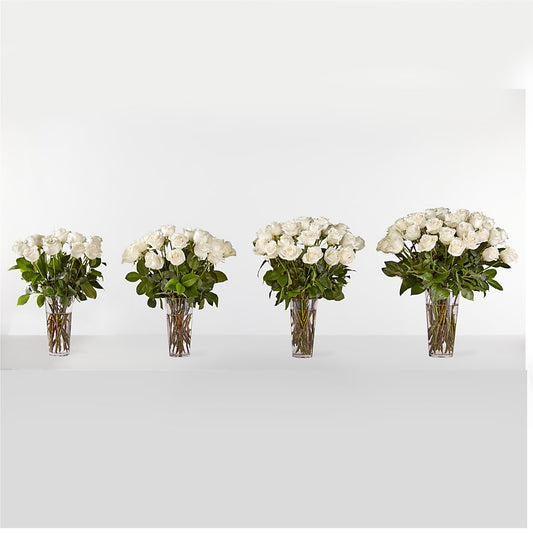 Long Stem White Rose Bouquet – MOSS & CO, Watkinsville GA