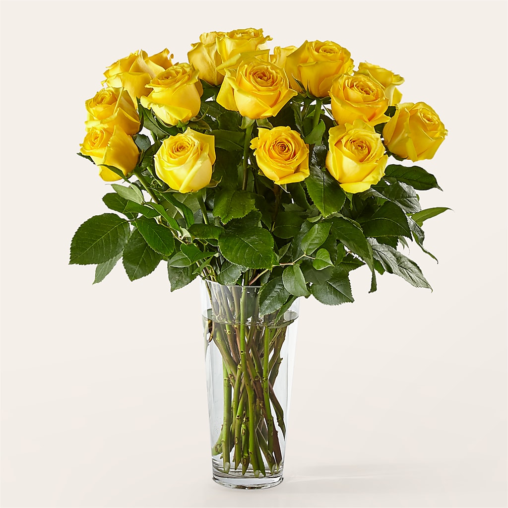 Long Stem Yellow Rose Bouquet – MOSS & CO, Watkinsville GA