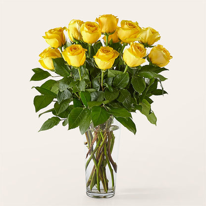 Long Stem Yellow Rose Bouquet – MOSS & CO, Watkinsville GA