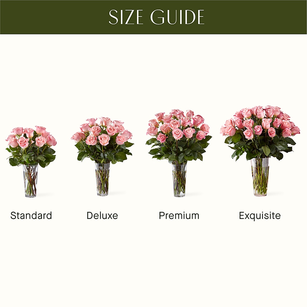 Long Stem Pink Rose Bouquet – MOSS & CO, Watkinsville GA