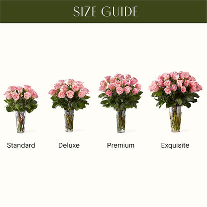 Long Stem Pink Rose Bouquet – MOSS & CO, Watkinsville GA