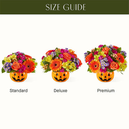 Tricks & Treats Pumpkin – MOSS & CO, Watkinsville GA