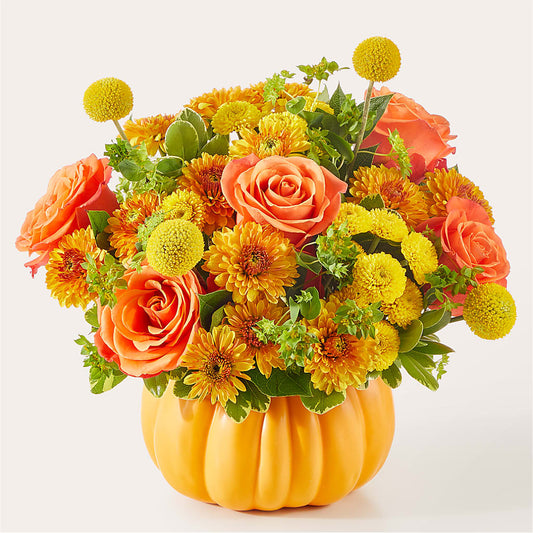 Gourdgeous Pumpkin – MOSS & CO, Watkinsville GA